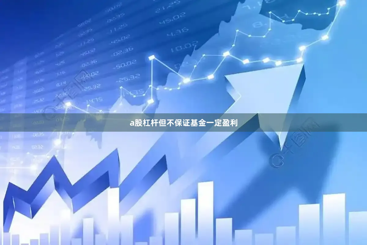 a股杠杆但不保证基金一定盈利