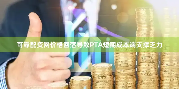 可靠配资网价格回落导致PTA短期成本端支撑乏力