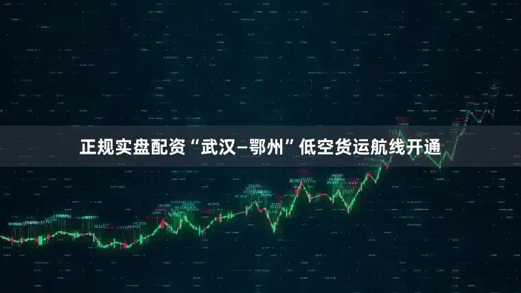 正规实盘配资“武汉—鄂州”低空货运航线开通